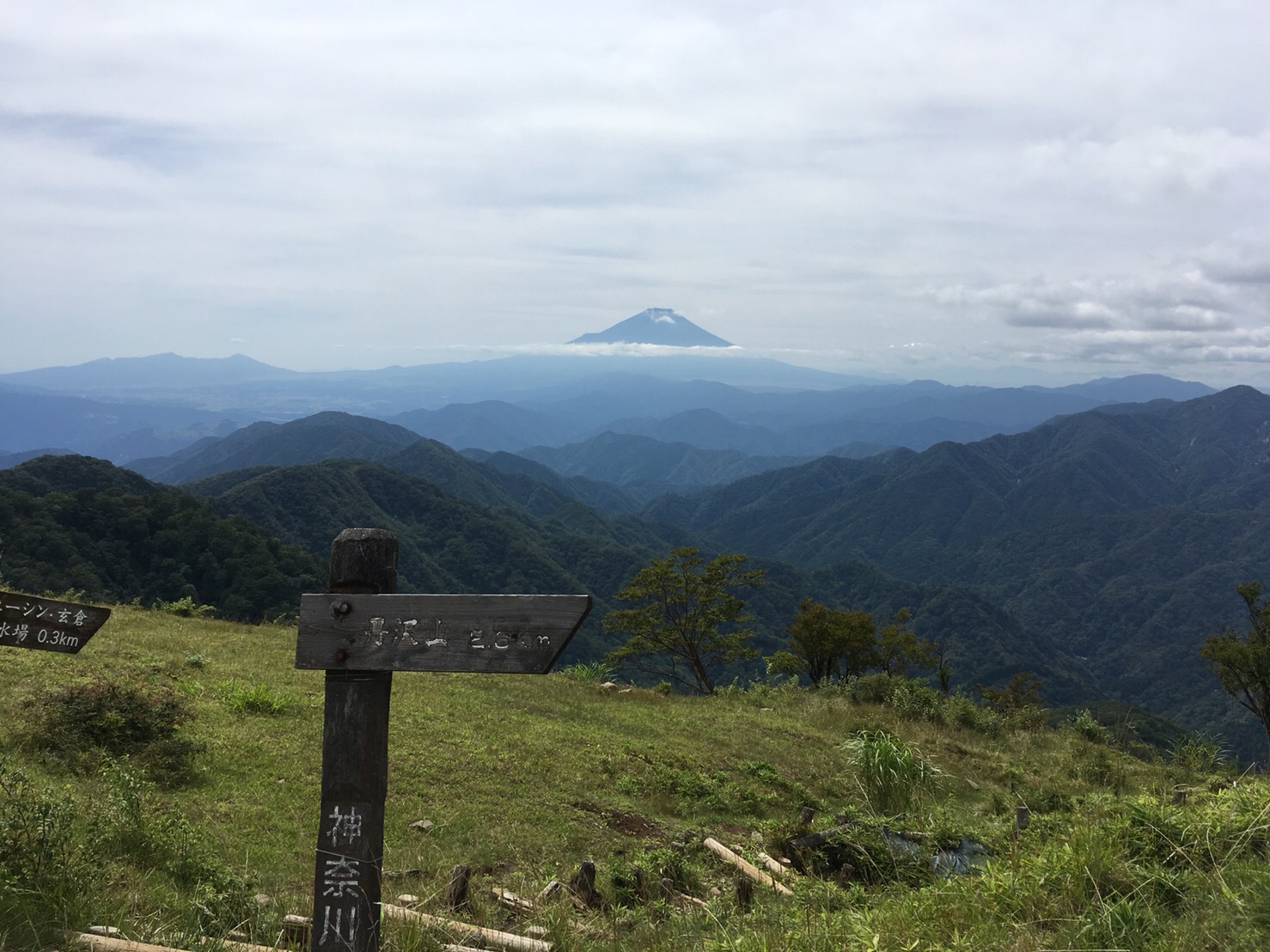 丹沢山からの富士山