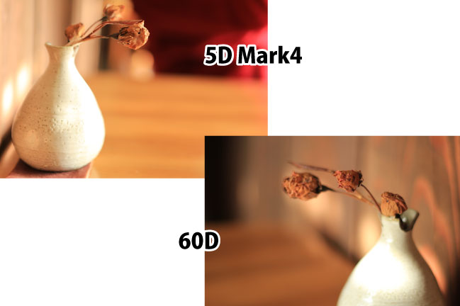 キャノンEOS5D Mark4と60Dの接写比較