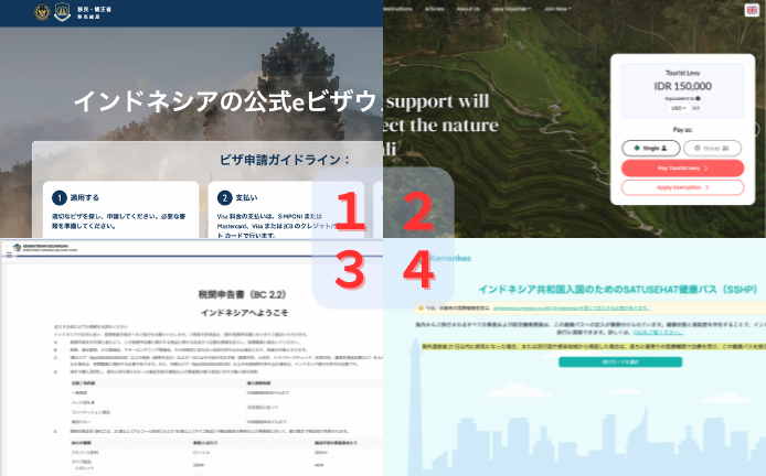 バリ島入国に必要な申告サイト