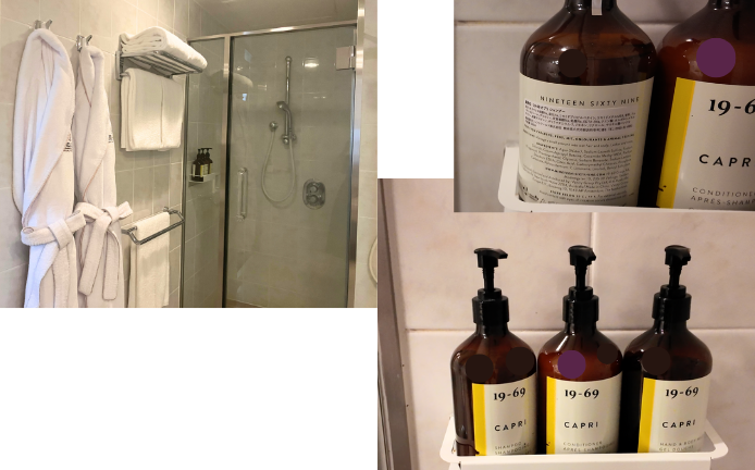 ザプリンスさくらタワー東京オートグラフコレクションのエグゼクティブタワービューキングのバスルーム