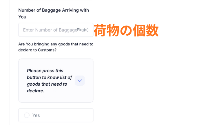 バリ島税関健康申告【All Indonesia】