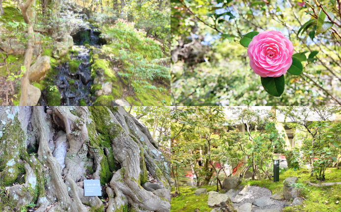 ウェスティン都ホテル京都の葵殿庭園